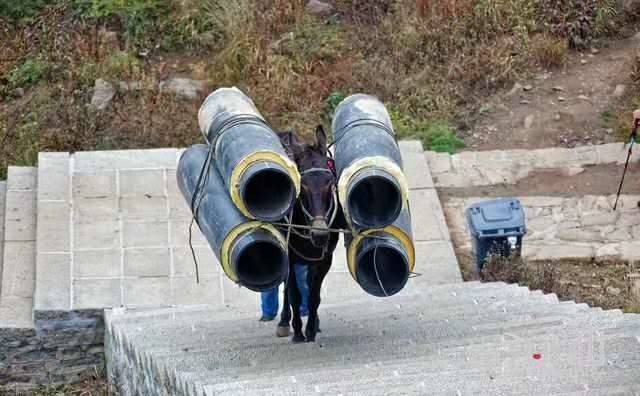 余姚马帮运输